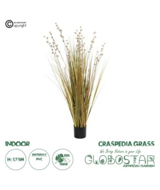 GloboStar® Artificial Garden CRASPEDIA GRASS 21480 Τεχνητό Διακοσμητικό Φυτό Μπεζ & Πράσινο Κρασπέδια Μ90 x Π60 x Υ175cm